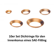 10er Set Dichtringe für den 45° Innenkonus eines...